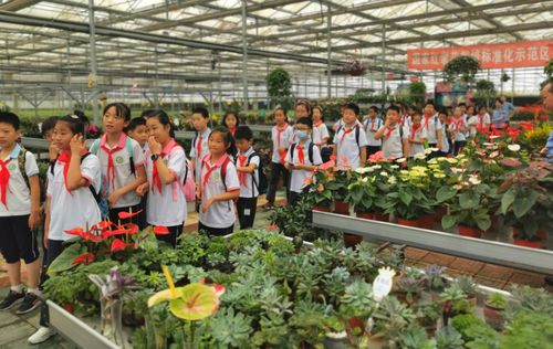 雙減 大禮包,陪你過(guò)寒冬