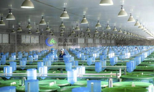 2024,哪些企業(yè)會倒下 哪些企業(yè)會雄起 哪些品種會暴雷 又有哪些機(jī)會 四問中國水產(chǎn)業(yè)