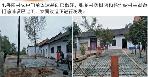 十月份聯村黨委林業種殖工作紀實 創新模式與生態富民雙贏